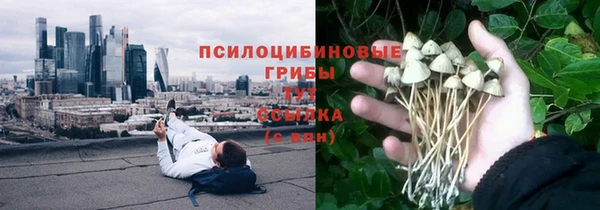 apvp Осинники