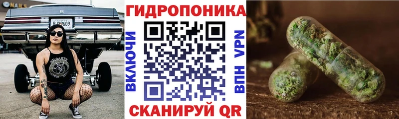 Шишки марихуана OG Kush  Ардатов 